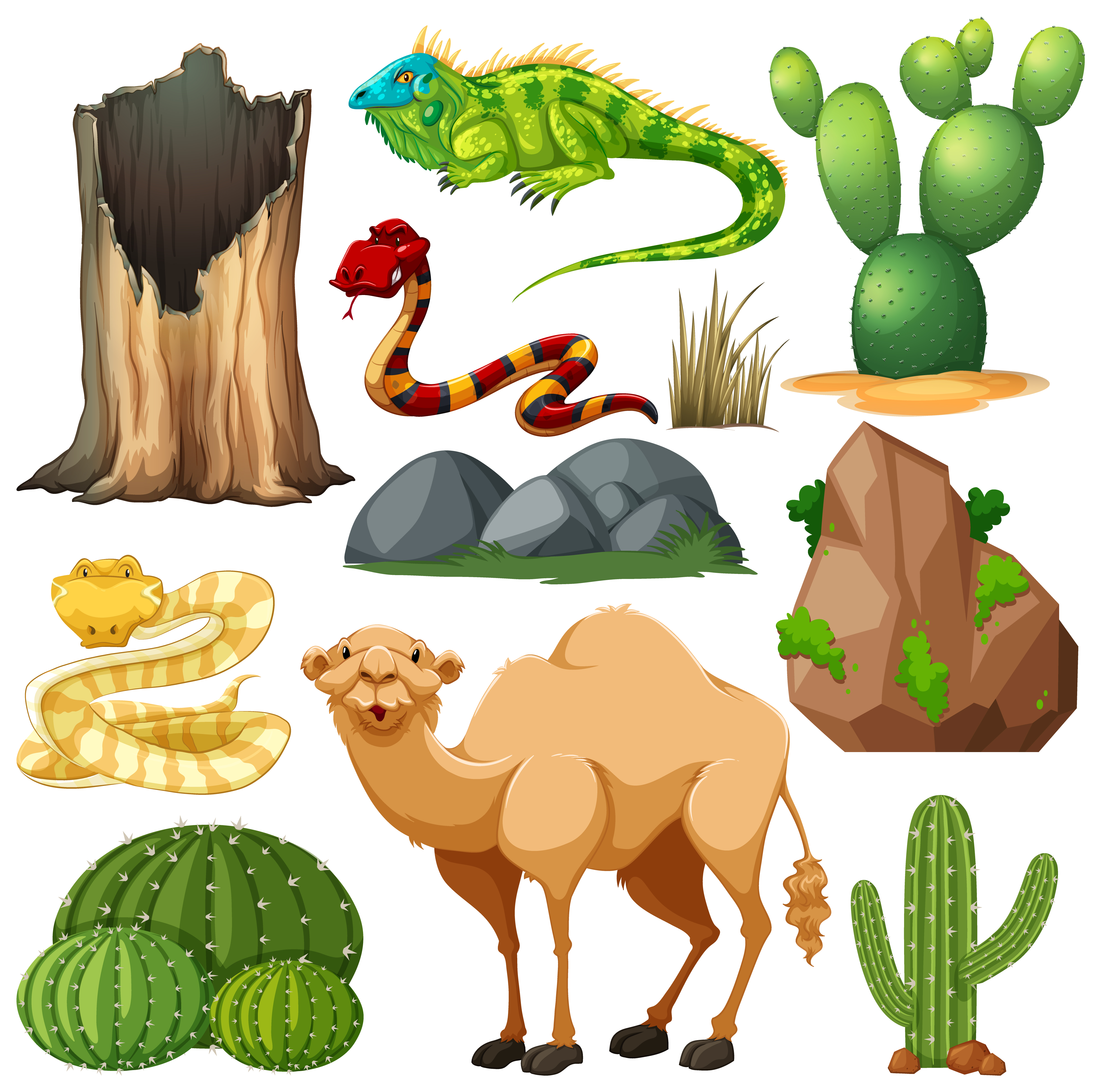 Set of cute desert animal and nature 1500837 Vector Art at Vecteezy