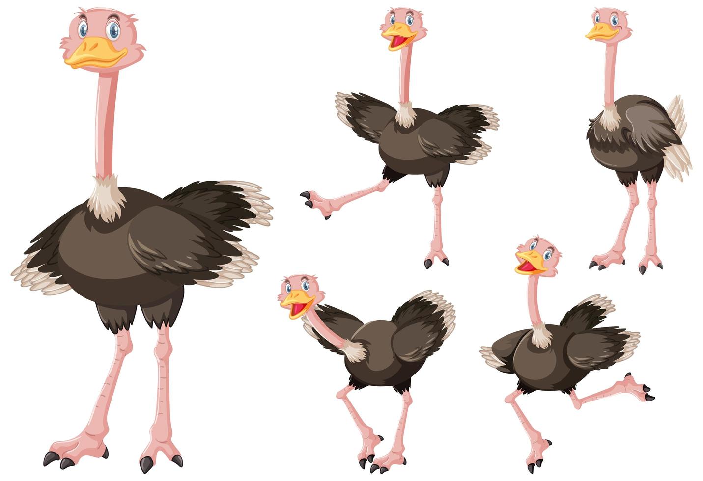 Cute ostrich cartoon character vector