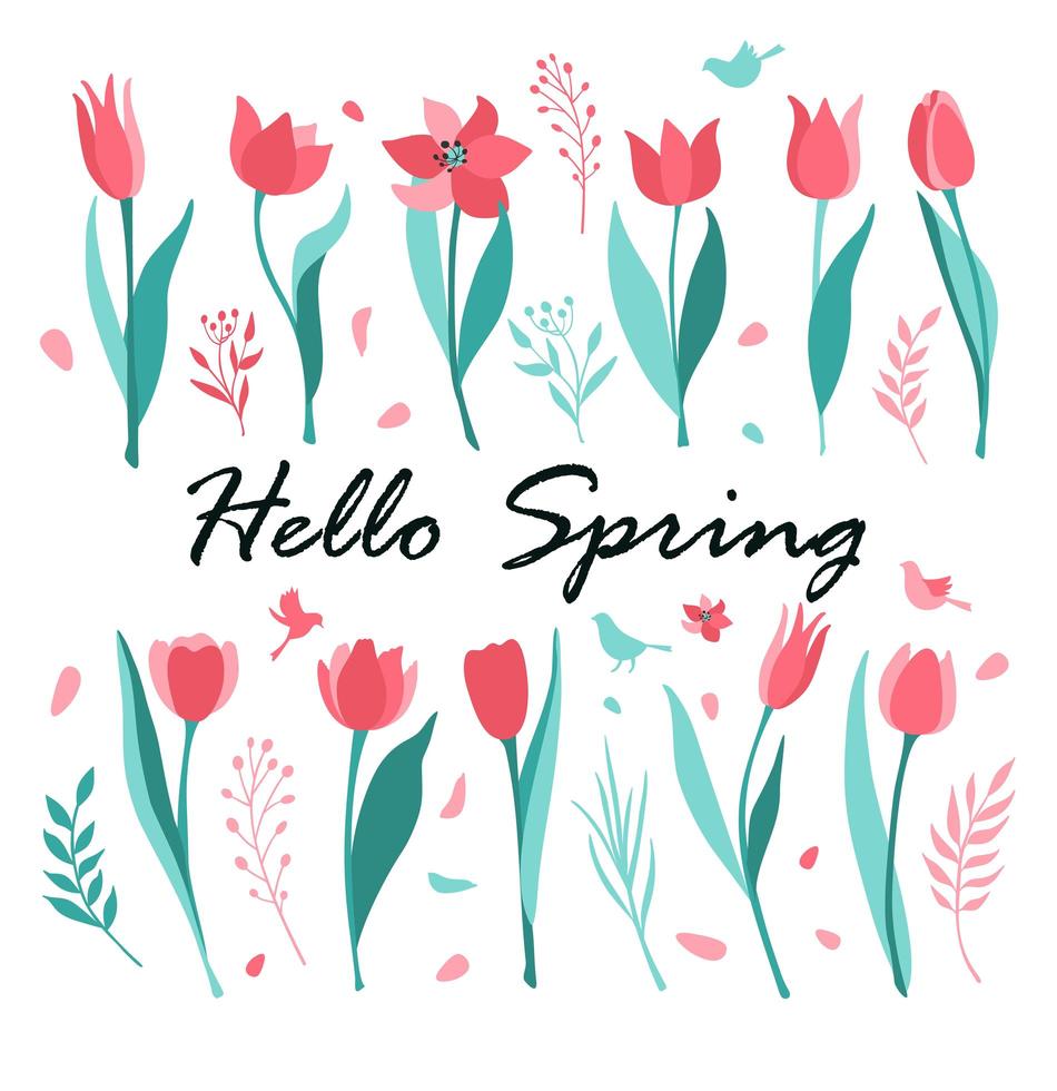 Hello Spring greeting card vector
