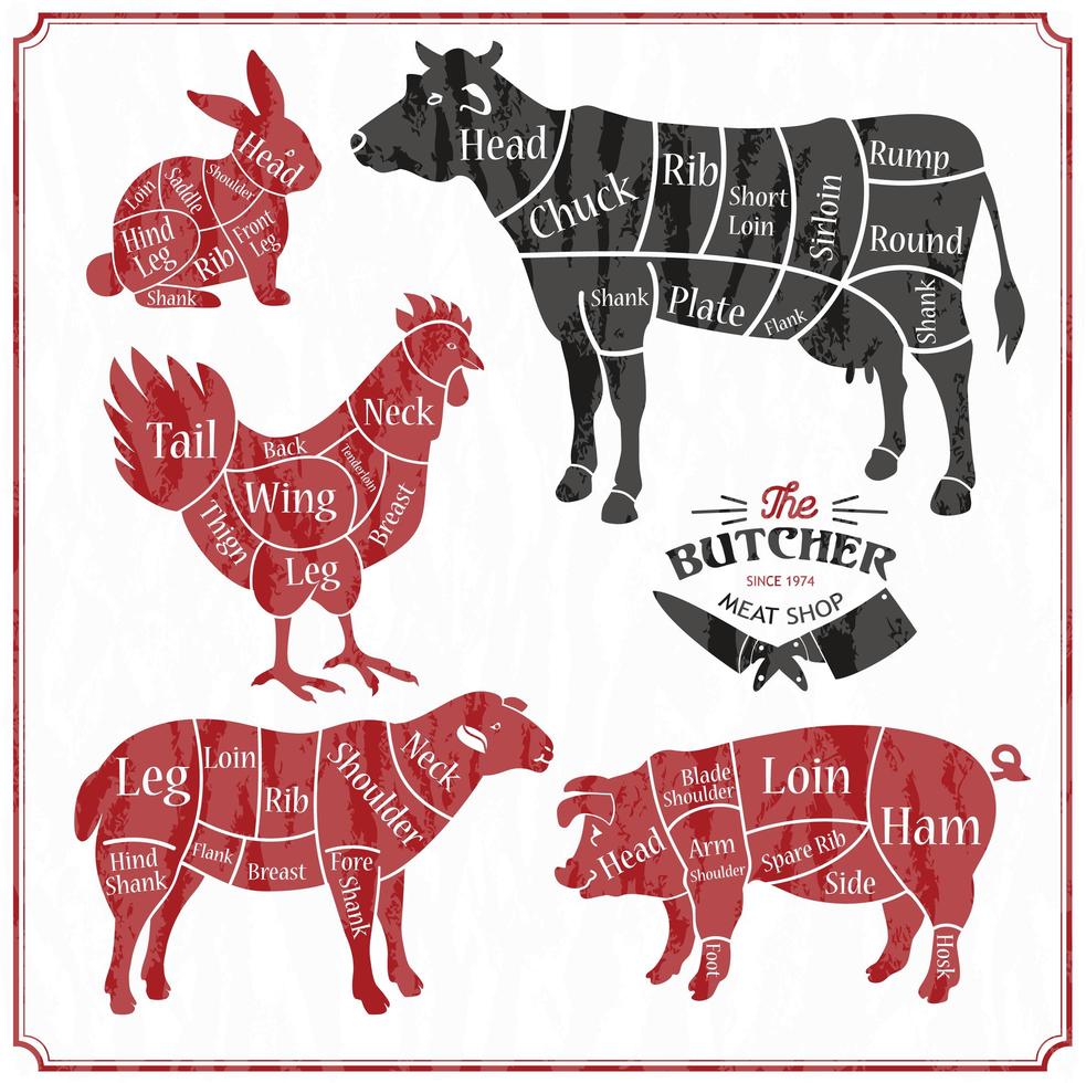 Animal farm set vector