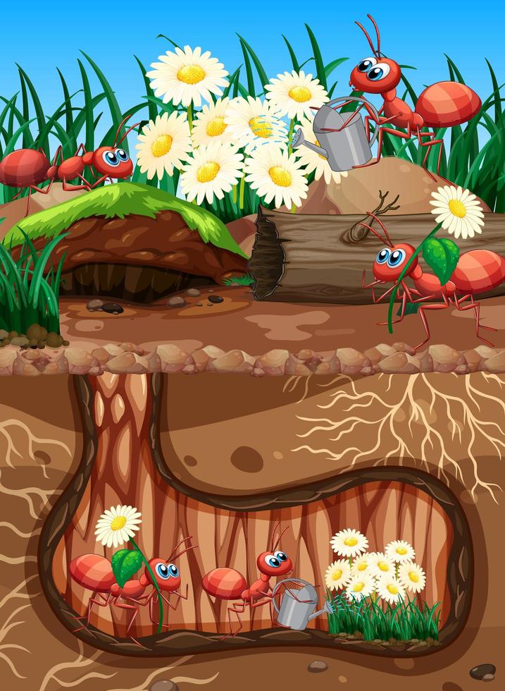 Scene with plants and insects in the garden vector