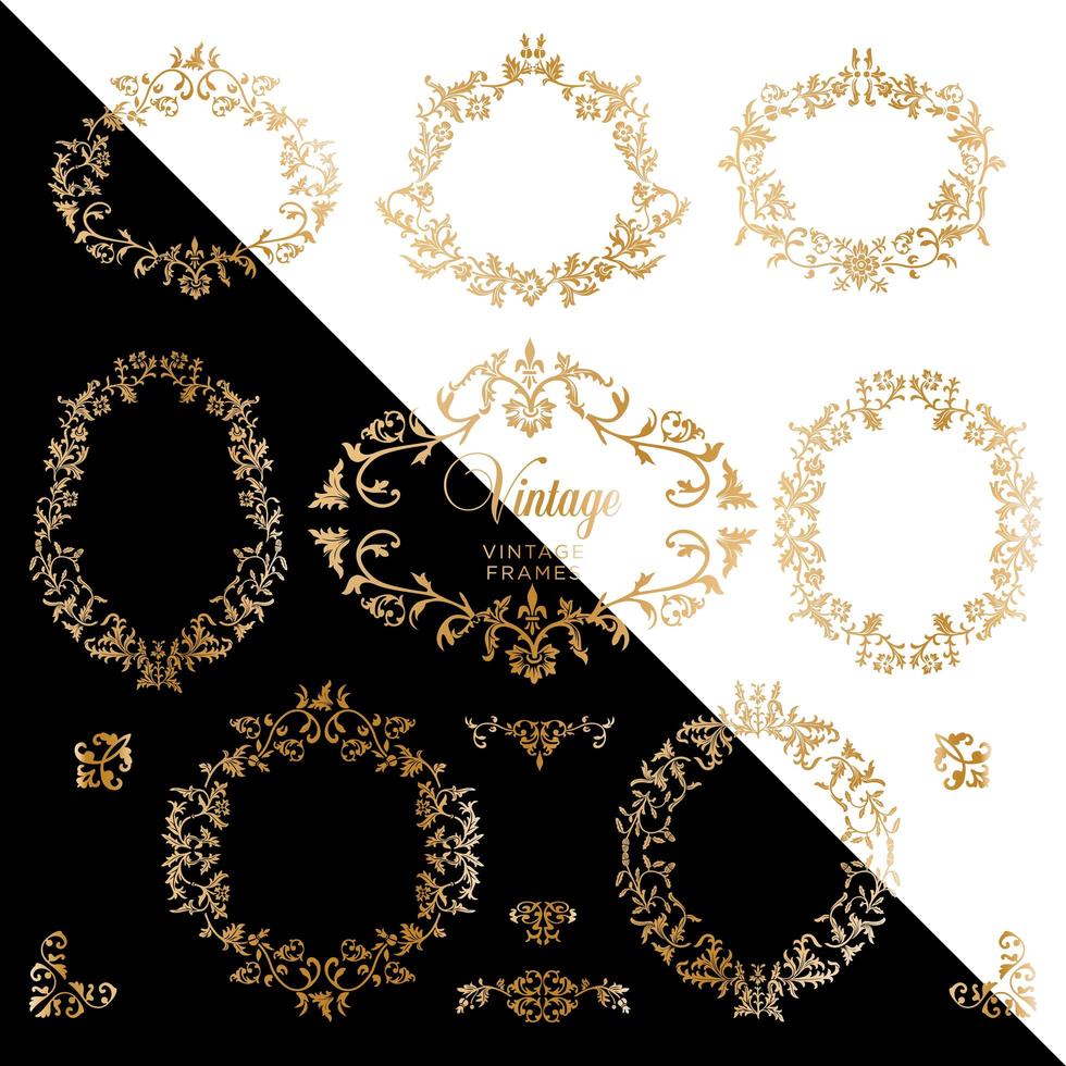 Vintage gold background with antique frames vector