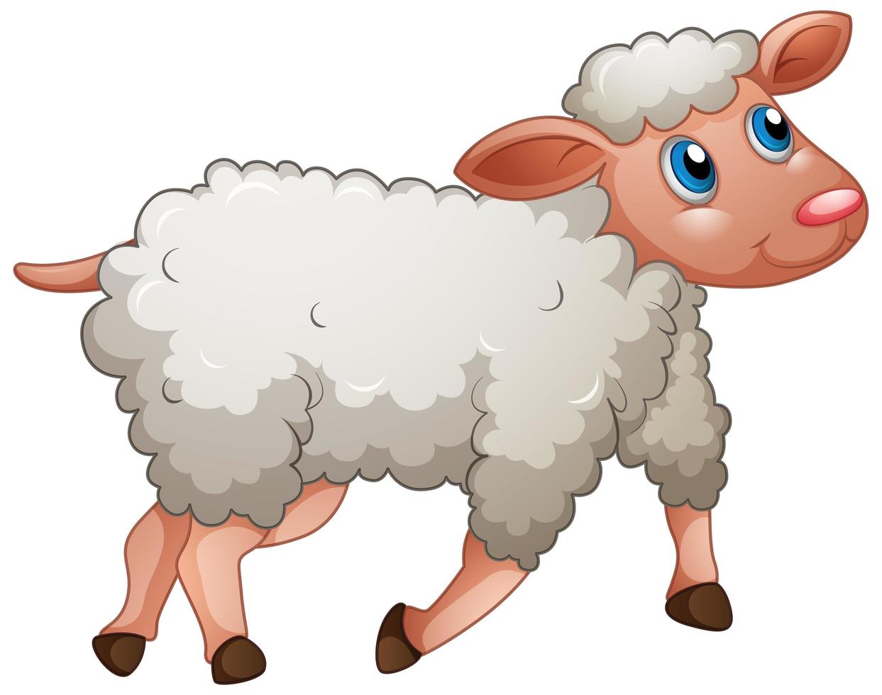 A cute sheep on white background vector