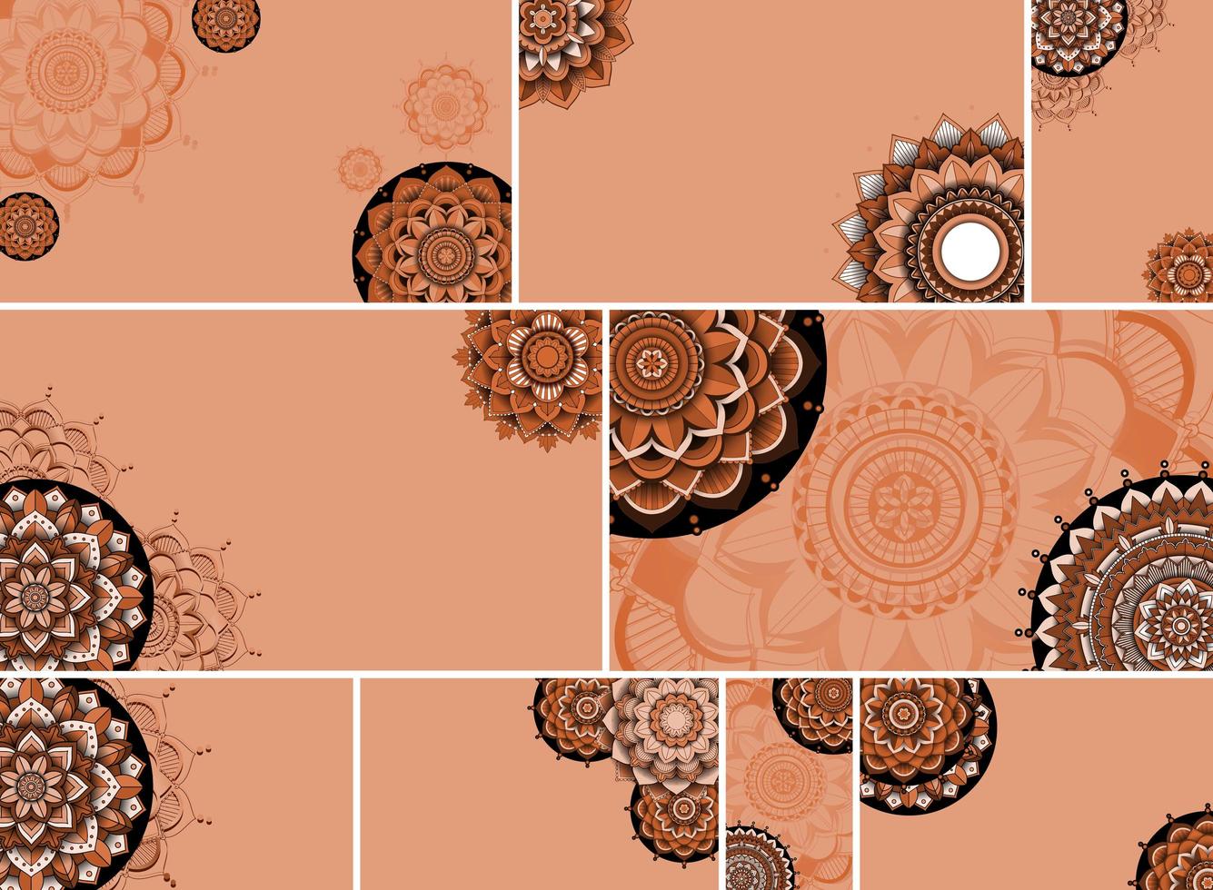 Beautiful mandala design background vector