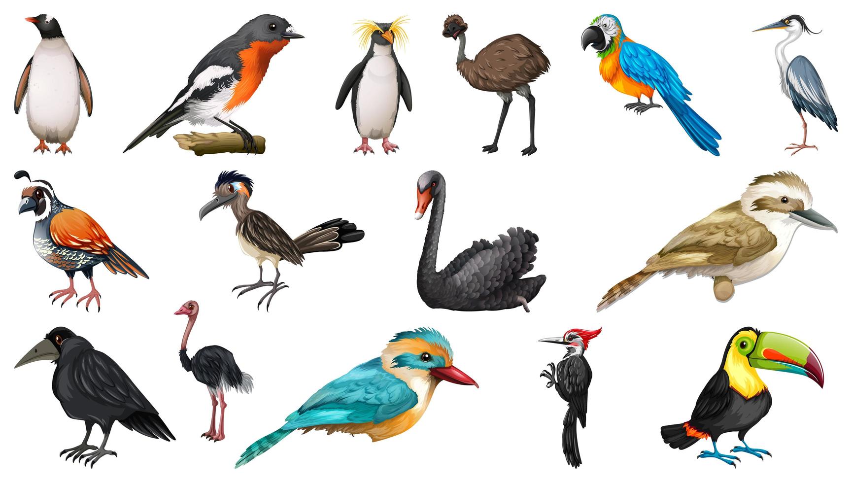 conjunto de diferentes pájaros estilo de dibujos animados aislado sobre fondo blanco vector