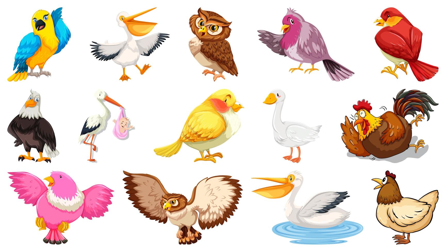 Set of different birds cartoon style isolated on white background vector