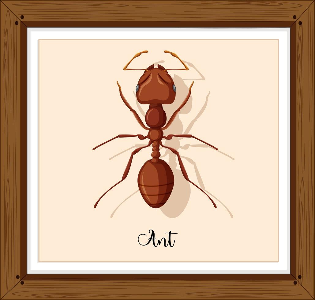 Working ant on on wooden frame vector