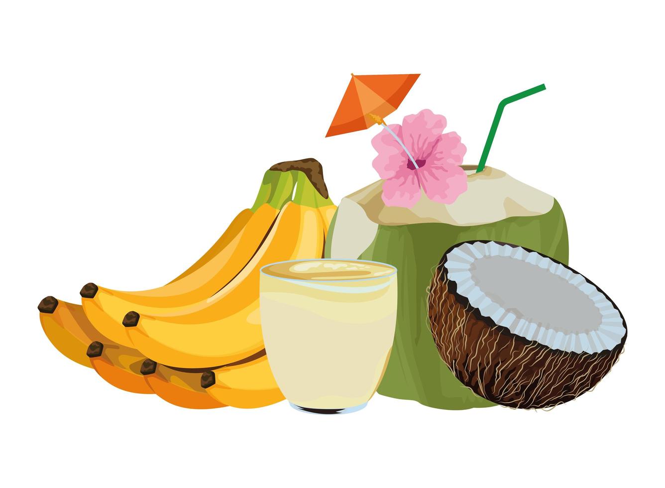 Tropical fruit and smoothie drink vector