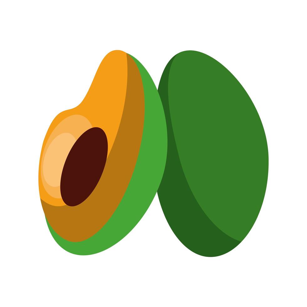 Fresh avocado half cut vegetable isolated vector