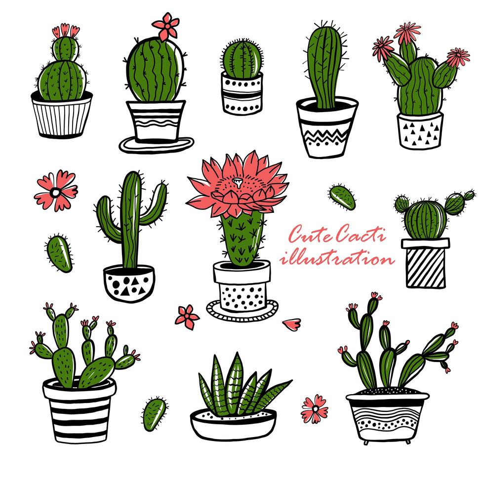 cactus y suculentas dibujadas a mano vector