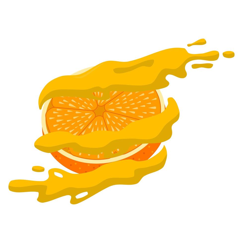 mitad naranja con jugo de salpicadura vector