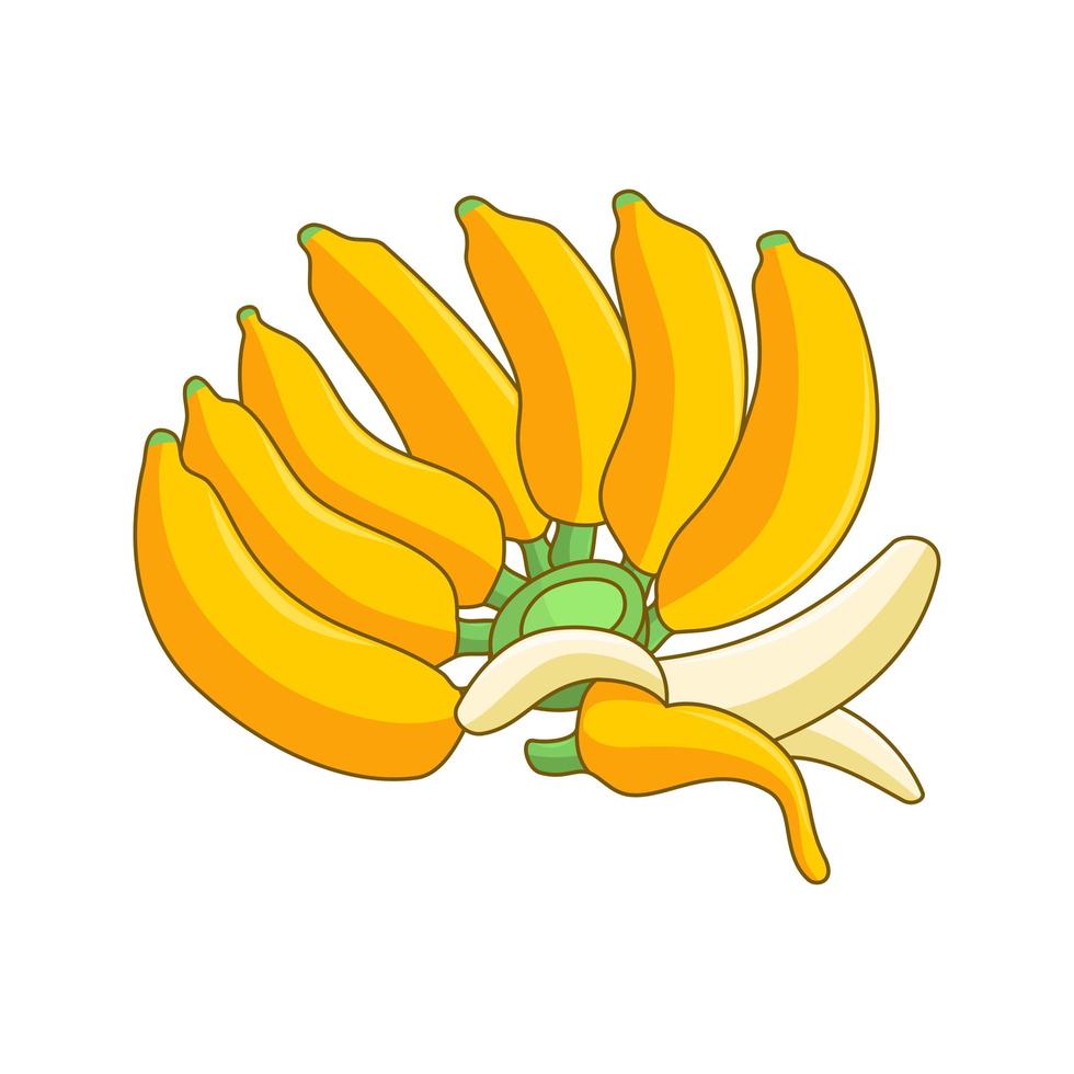 Cartoon banana bunch and peeled banana vector
