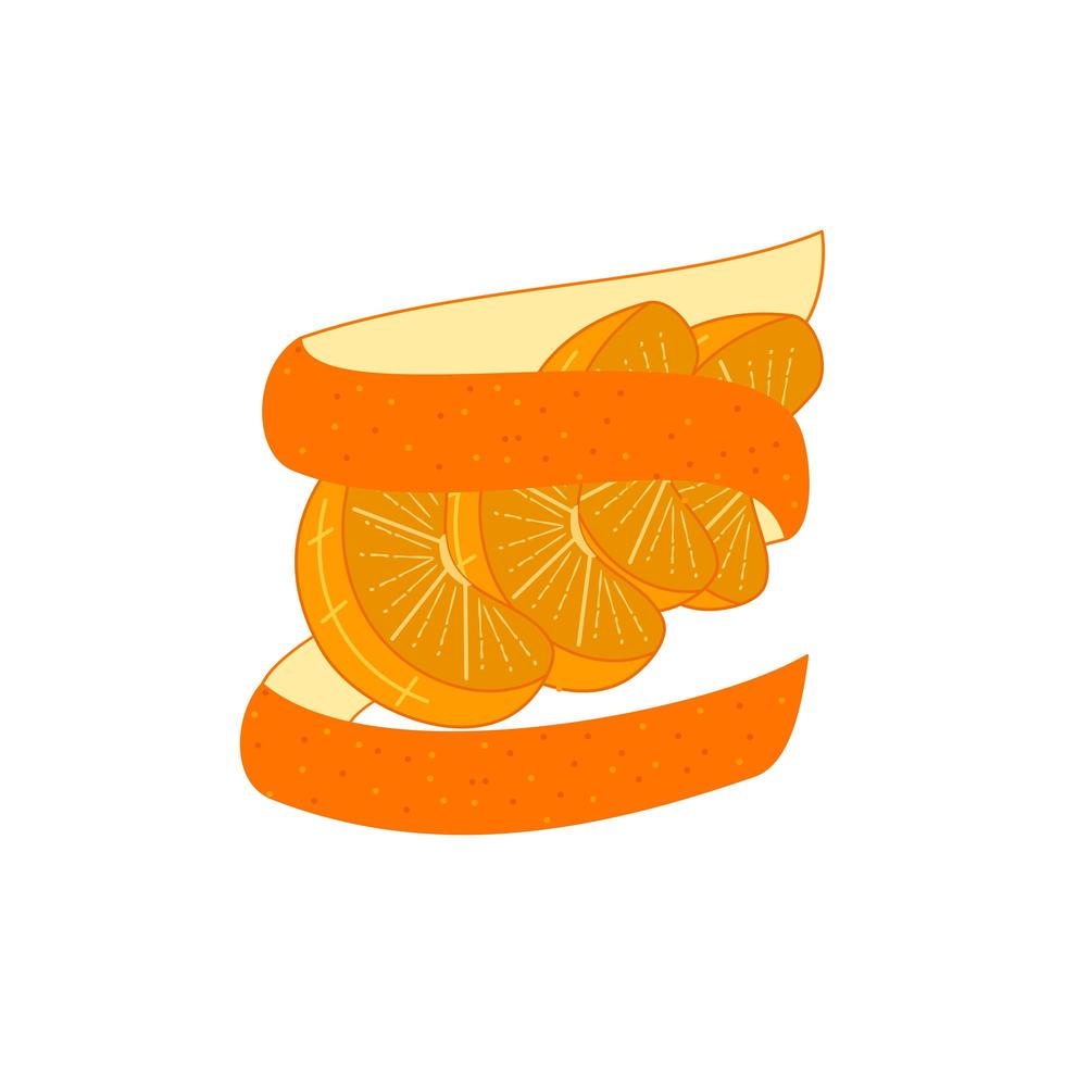 rodajas de naranja con piel vector