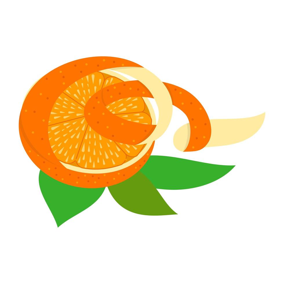 Orange Peel Design 1518115 Vector Art at Vecteezy
