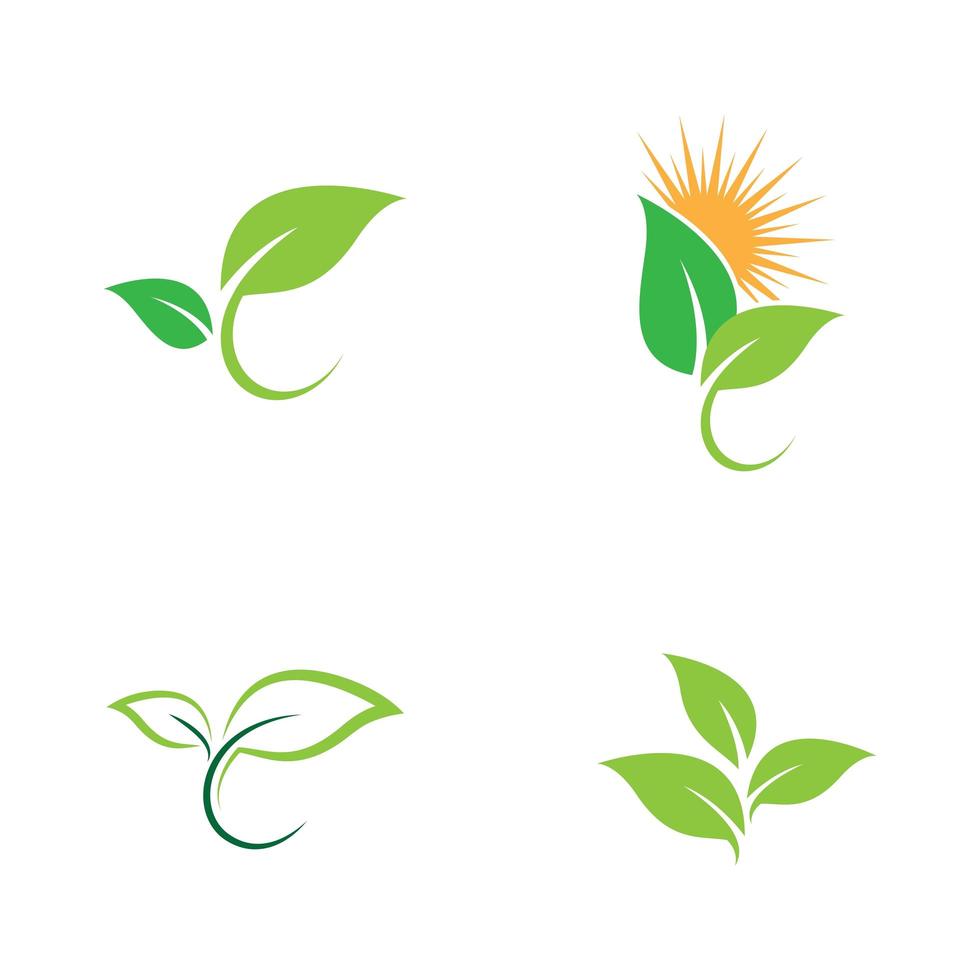 Leaf Icon Set vector