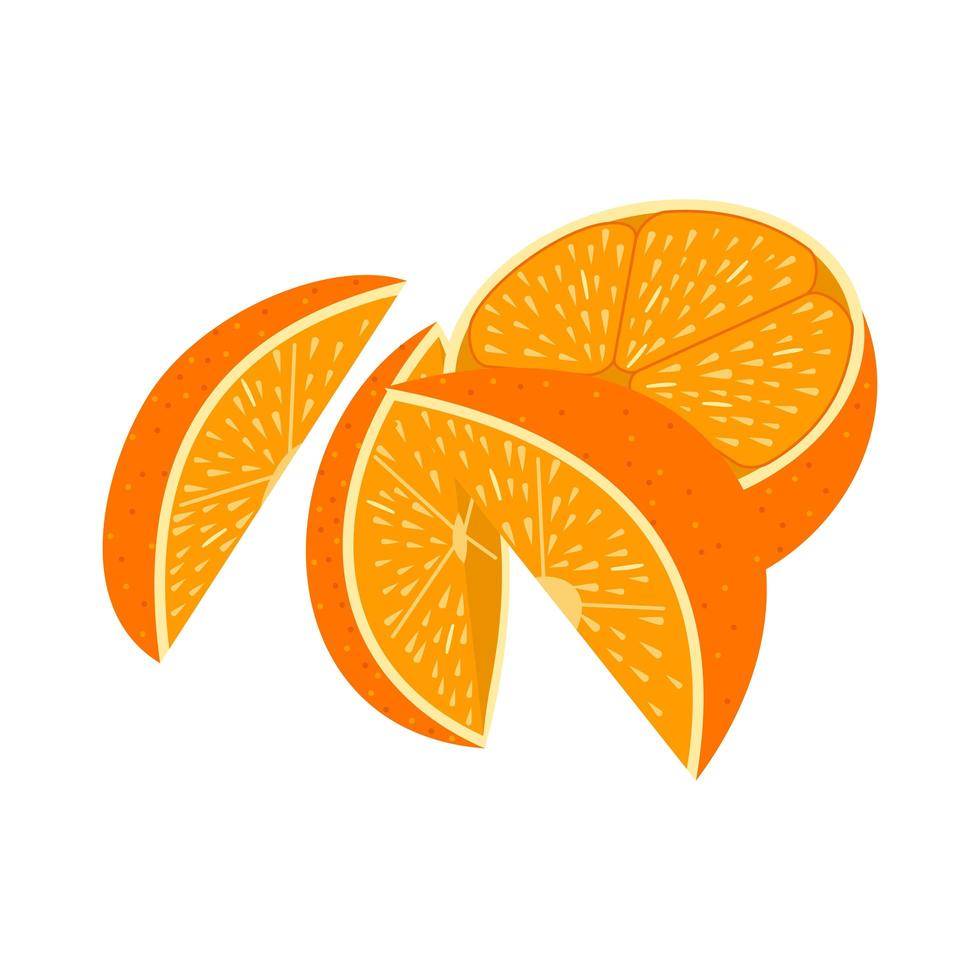 Orange Slices with Peel vector