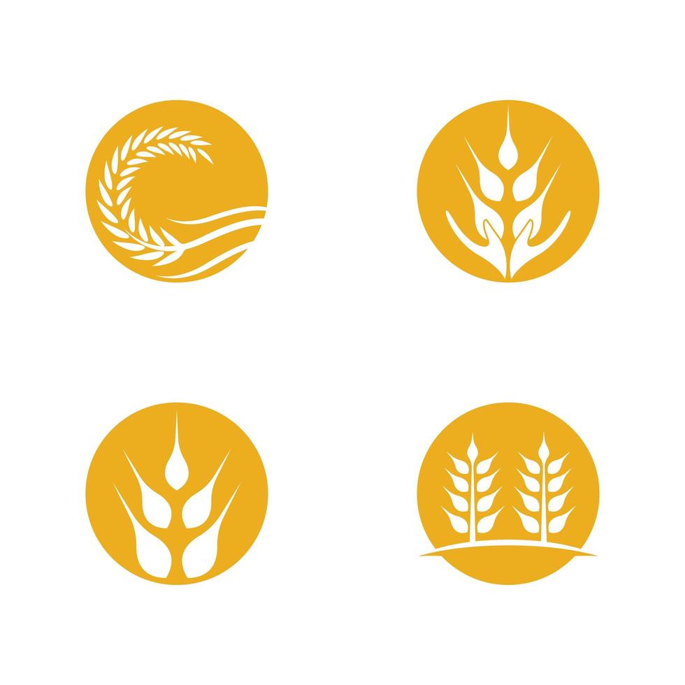conjunto de iconos de trigo vector