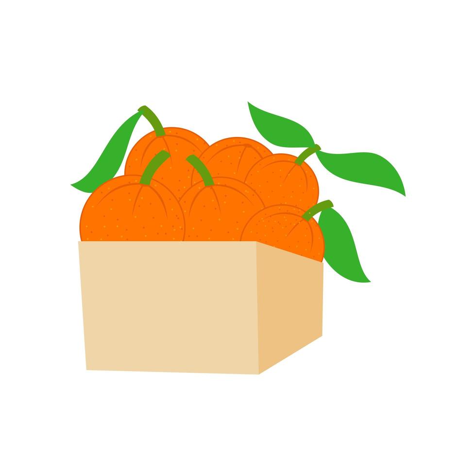 naranjas enteras en caja vector