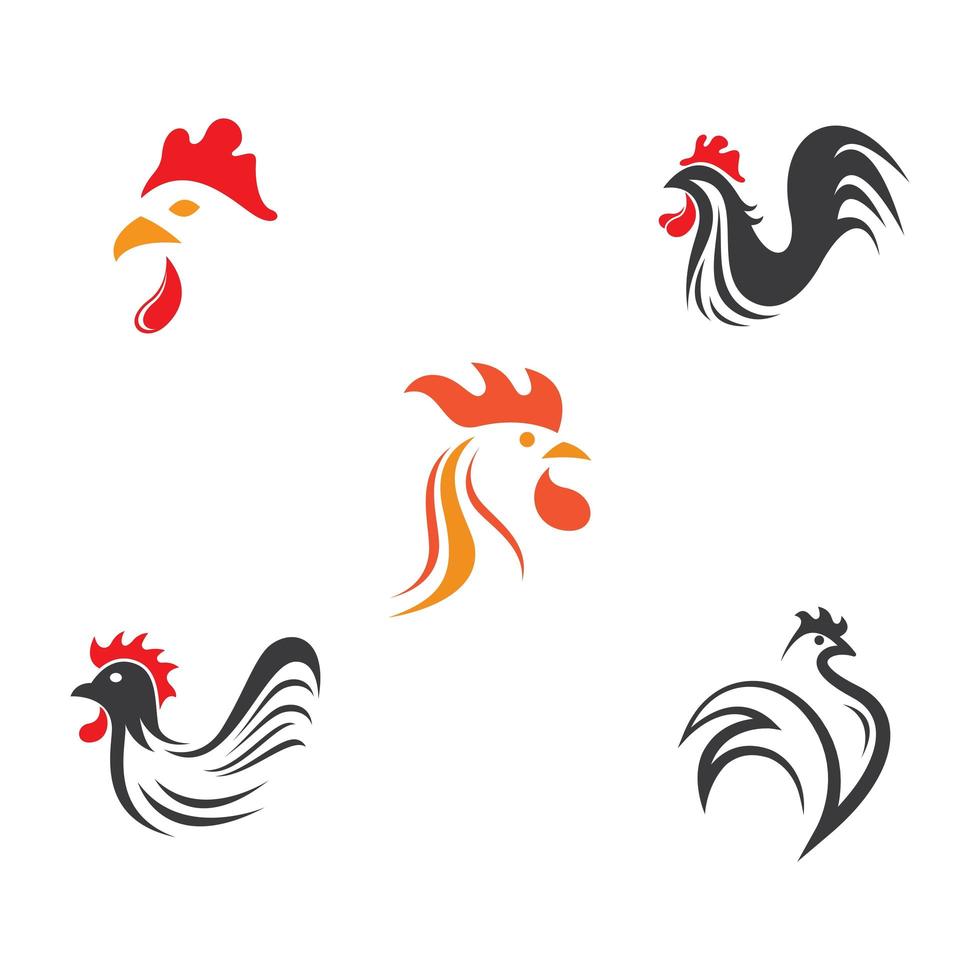 conjunto de iconos de gallo vector