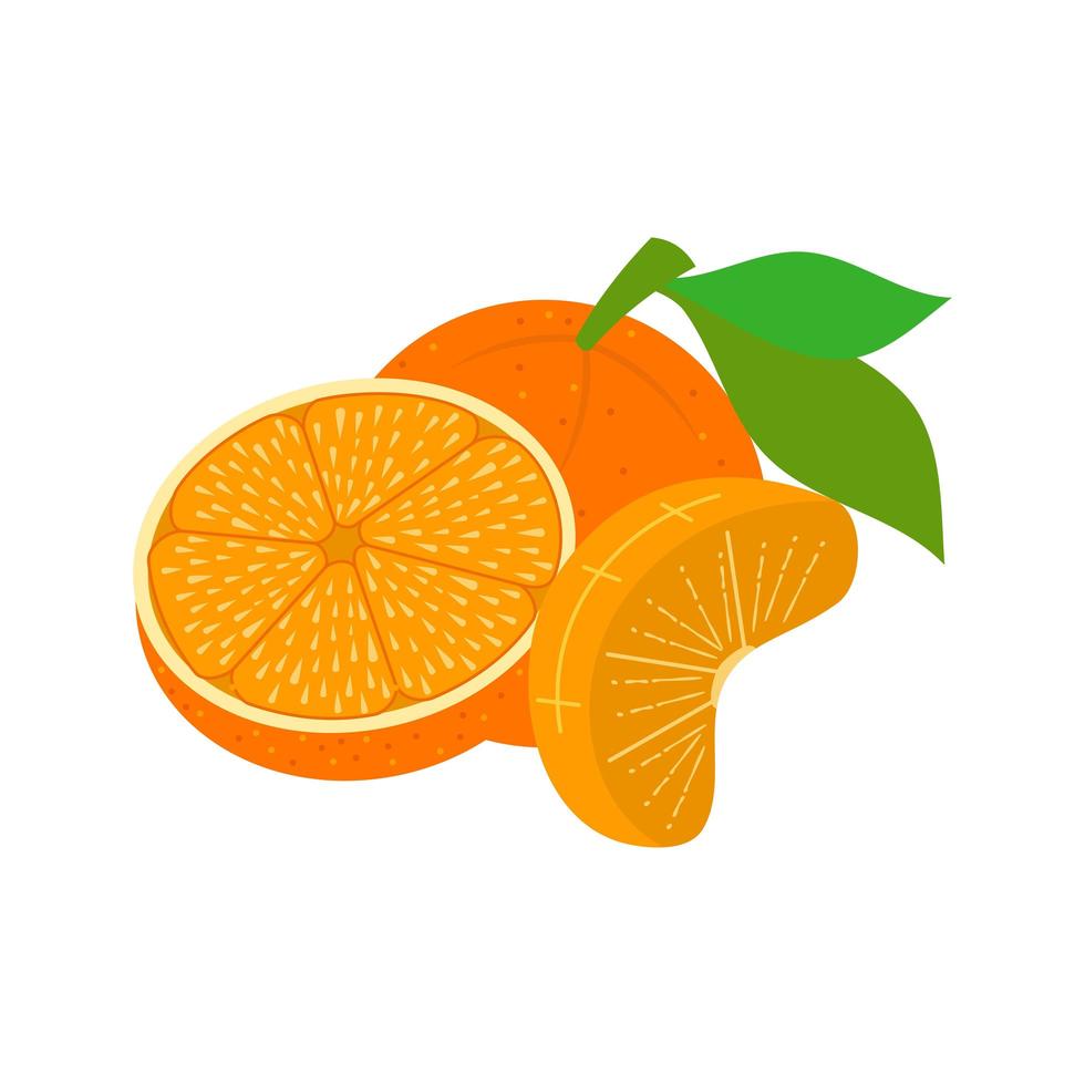 Whole Orange and Slices vector