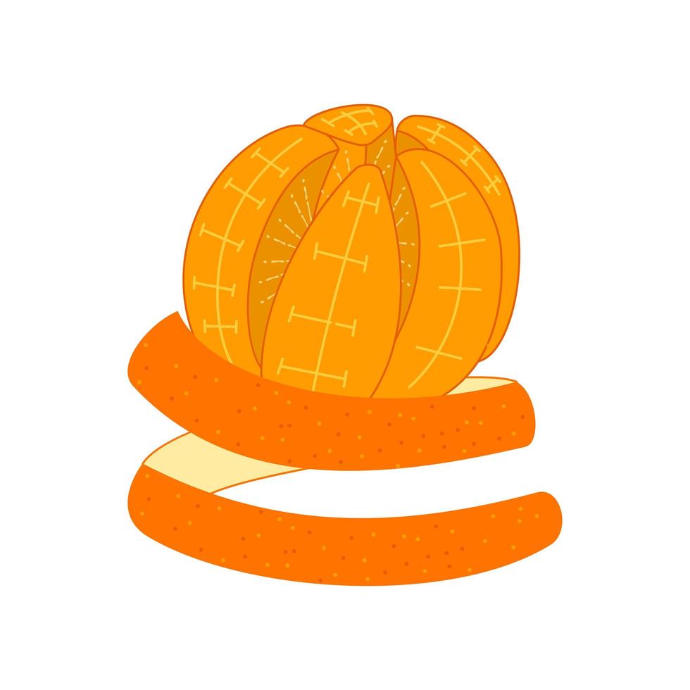 Orange Slices and Peels vector