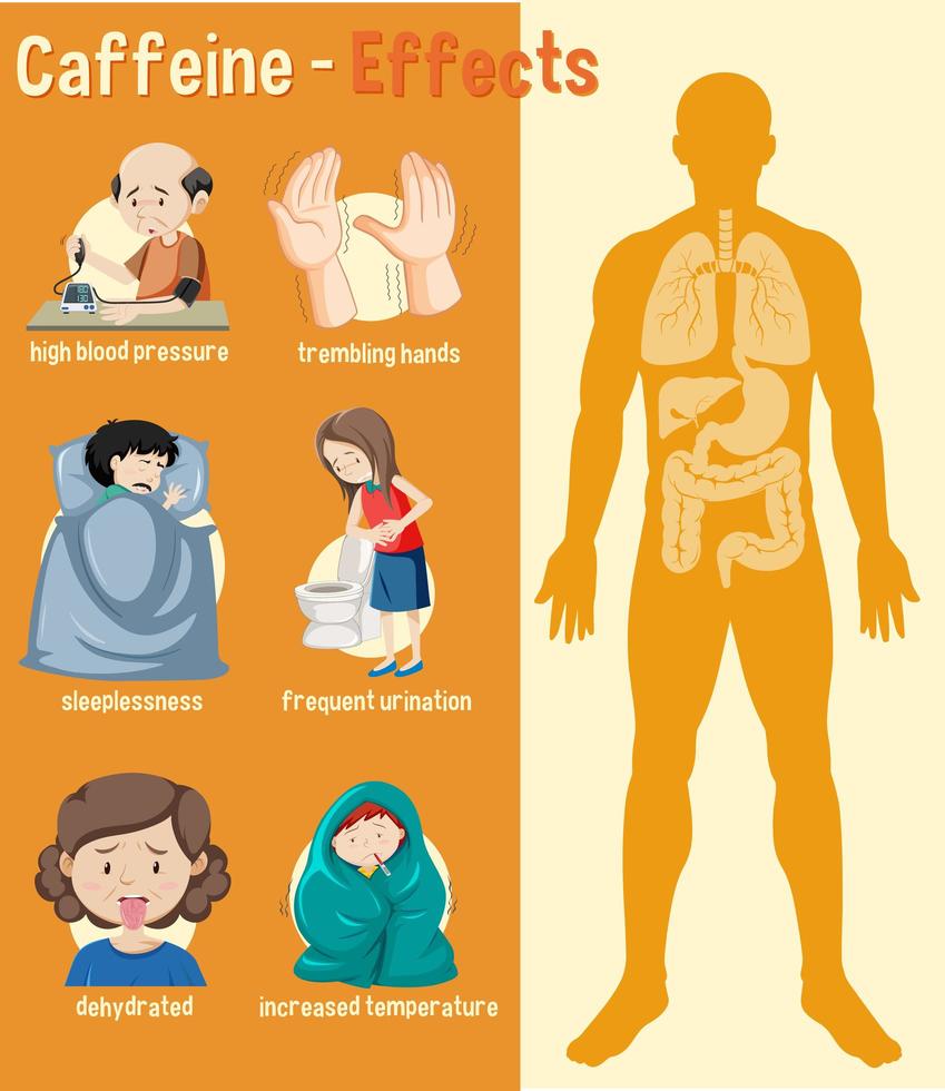 infografía de efectos sobre la salud de la cafeína vector