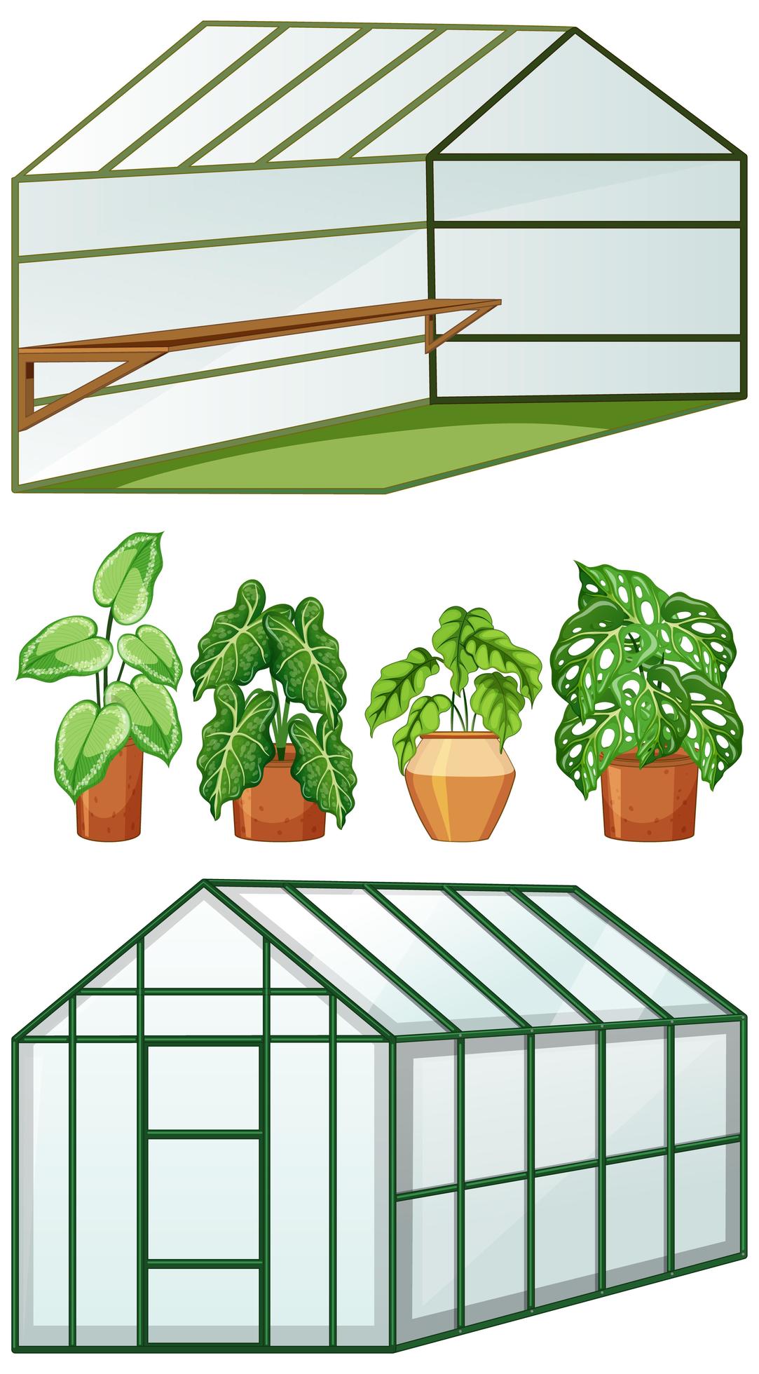 Close and open view of empty greenhouse with many plants in pots