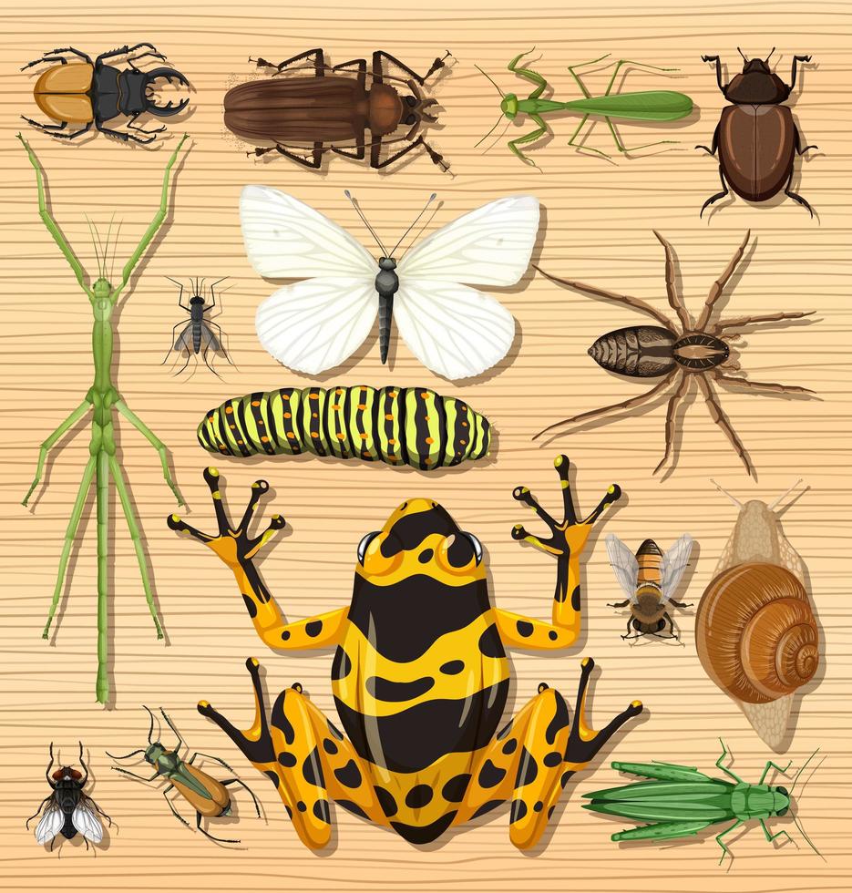 Conjunto de diferentes insectos sobre fondo de papel tapiz de madera vector