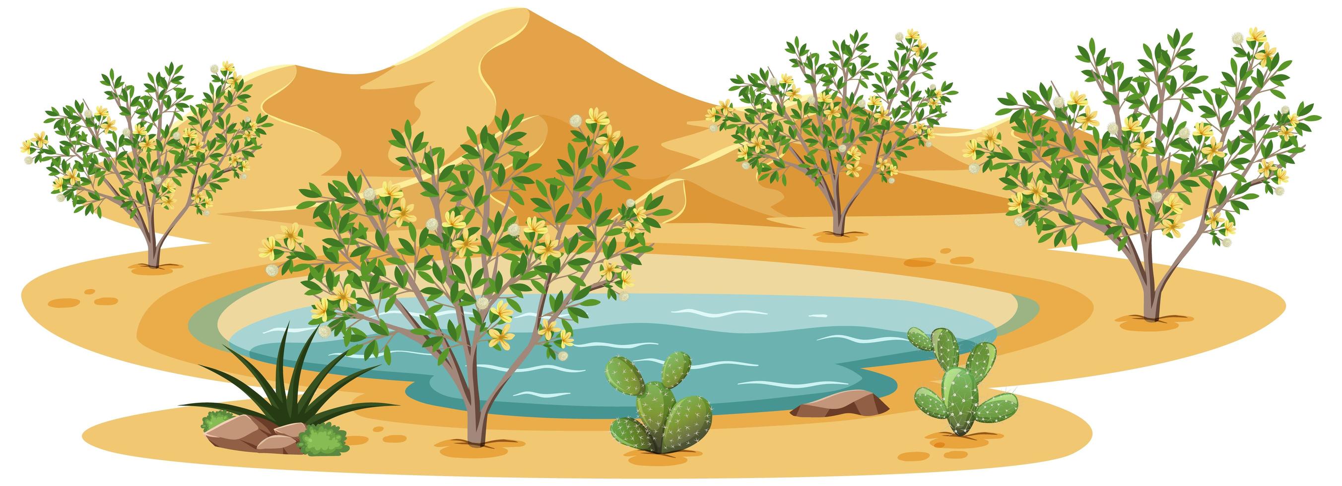 Creosote Bush plant in wild desert on white background vector