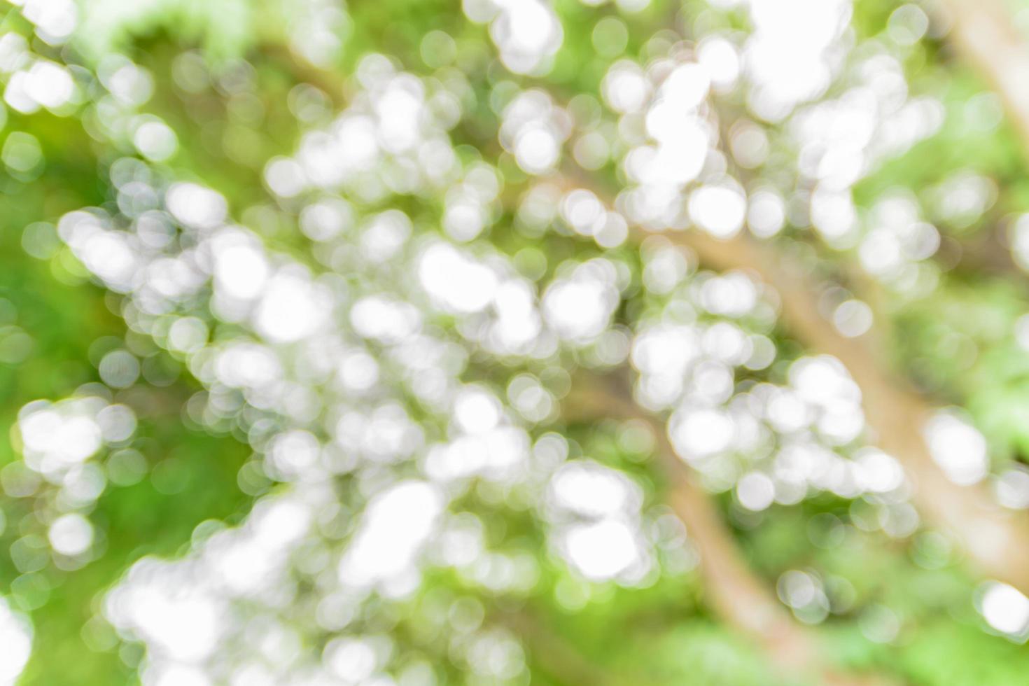 fondo de naturaleza borrosa foto