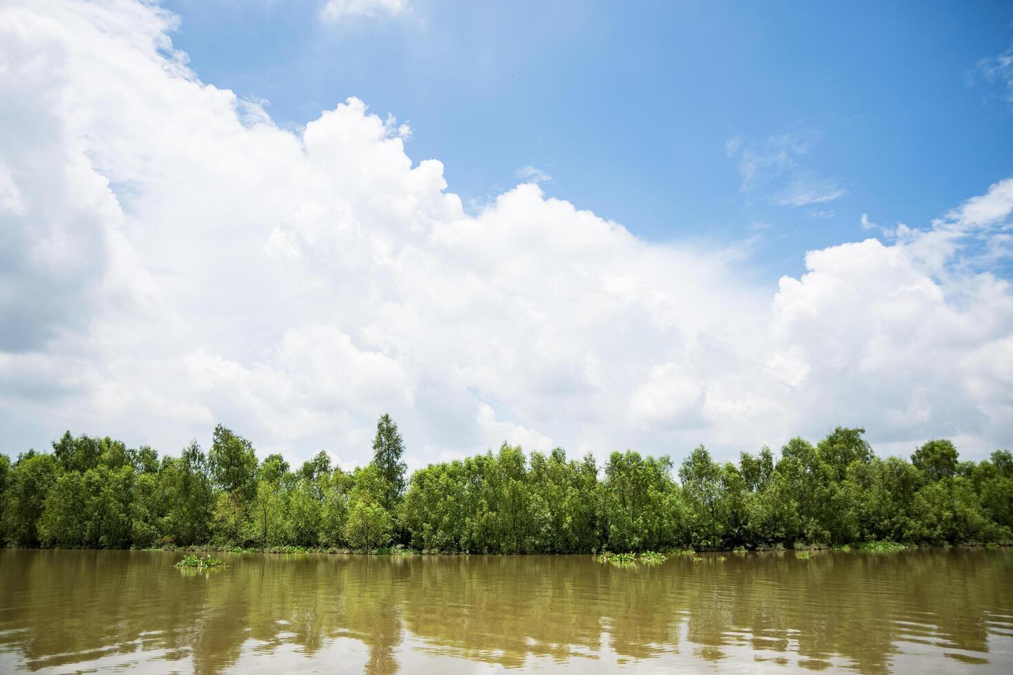 el río bang pakong en tailandia foto