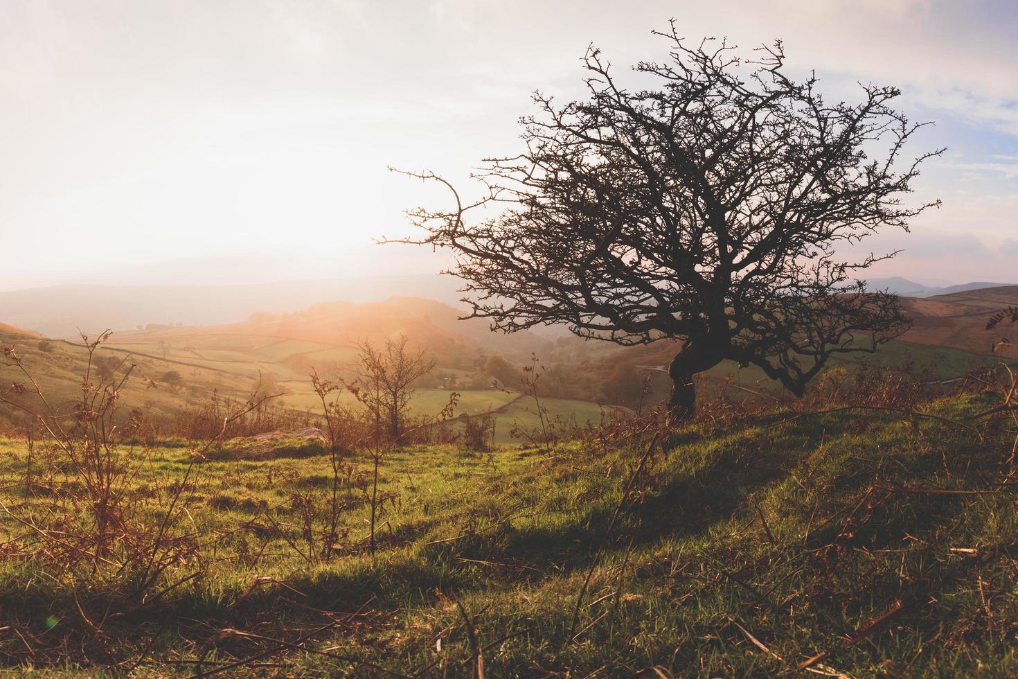 Countryside at golden hour photo