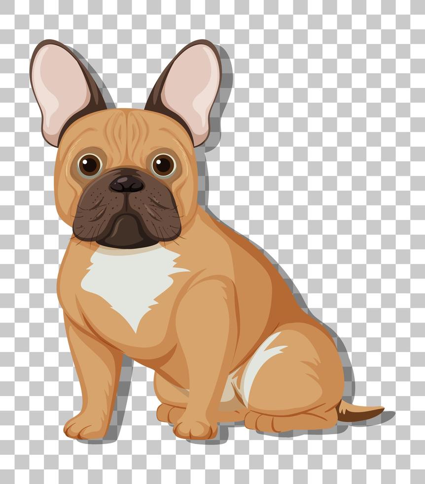 bulldog francés en posición sentada vector