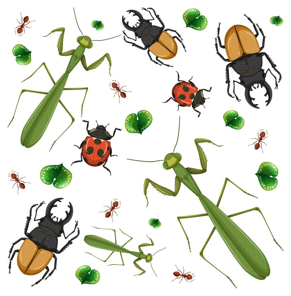 Set of different insects on white background vector