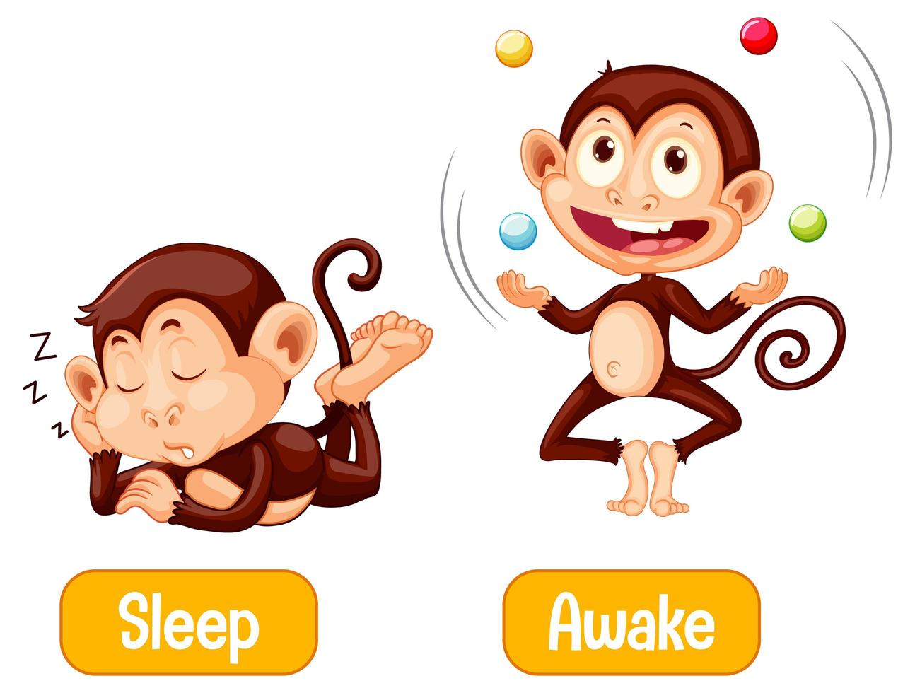 Opposite monkeys with sleep and awake text vector