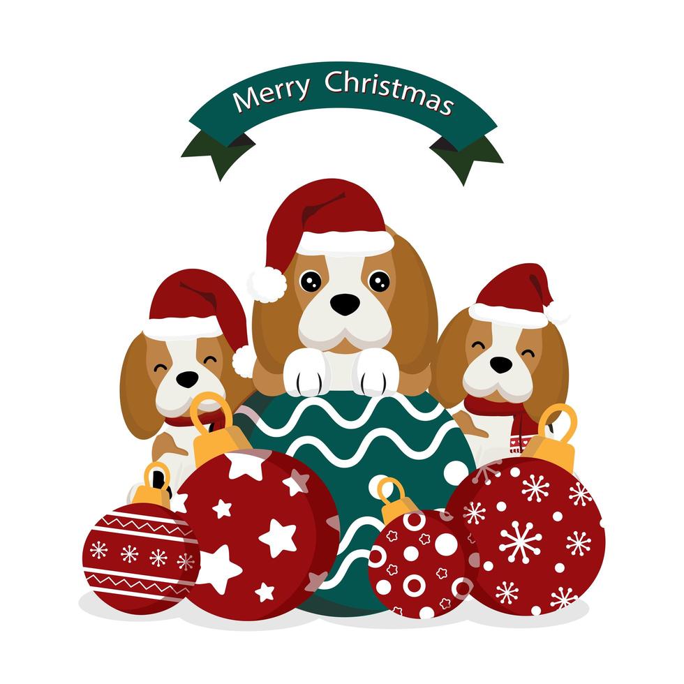 Christmas beagles wearing Santa hats with ornaments vector