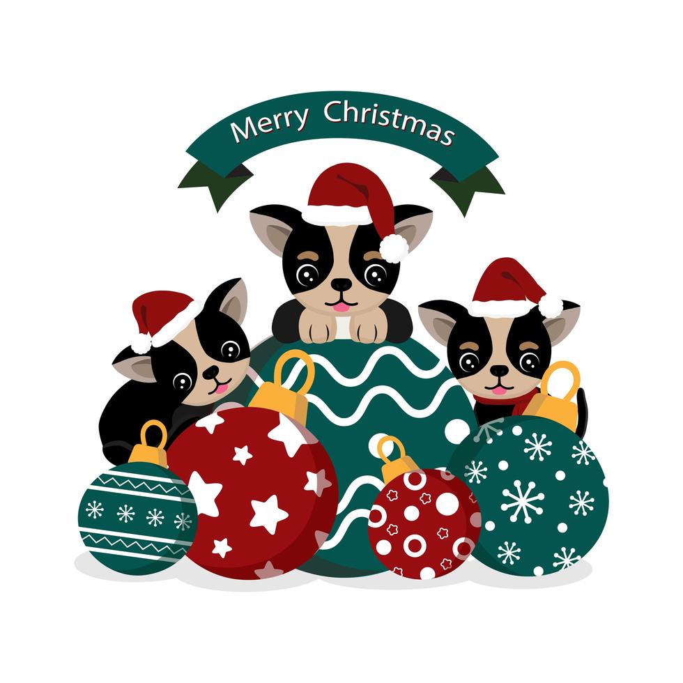 lindos chihuahuas con gorro de santa con adornos navideños vector