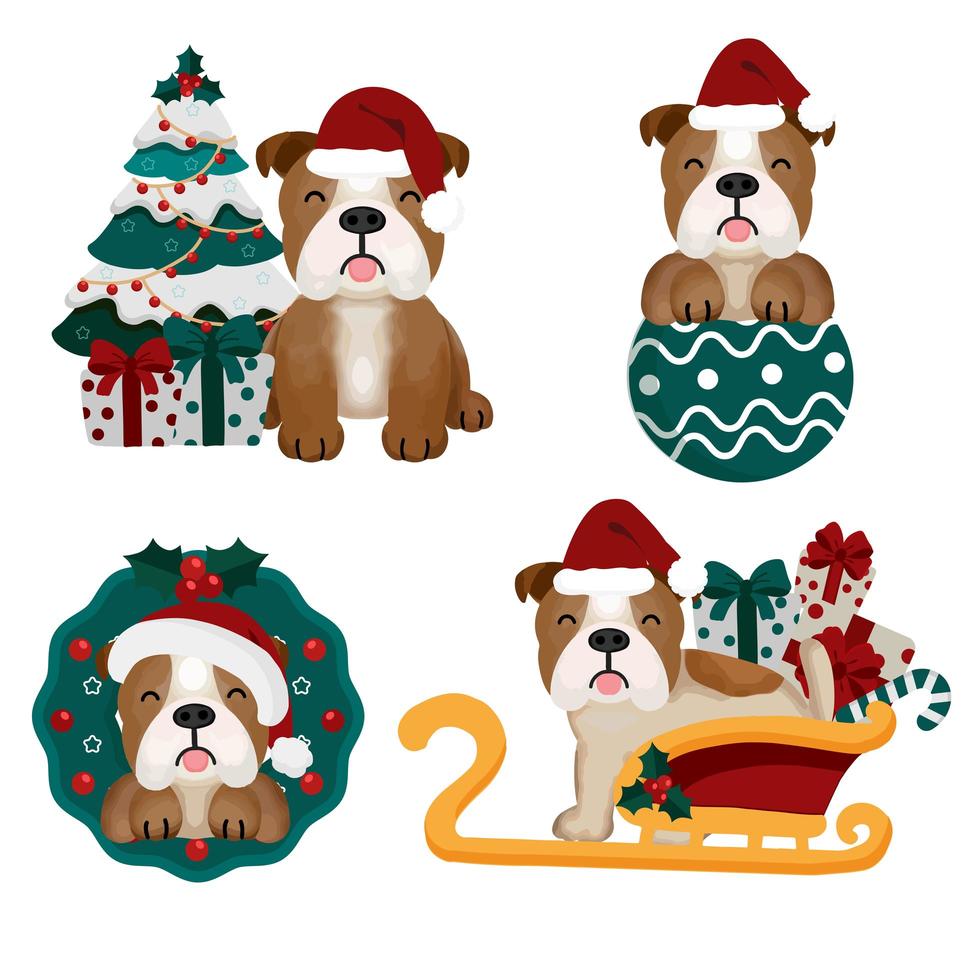 Christmas set with funny bull dog in Santa hat vector