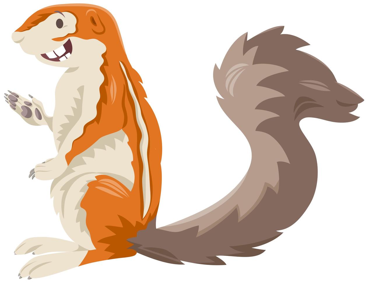 Xerus squirrel cartoon wild animal character vector