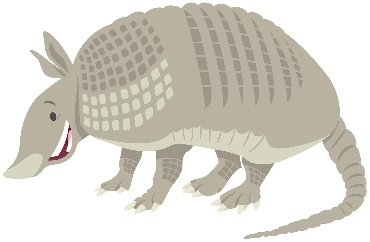 Armadillo animal cartoon vector