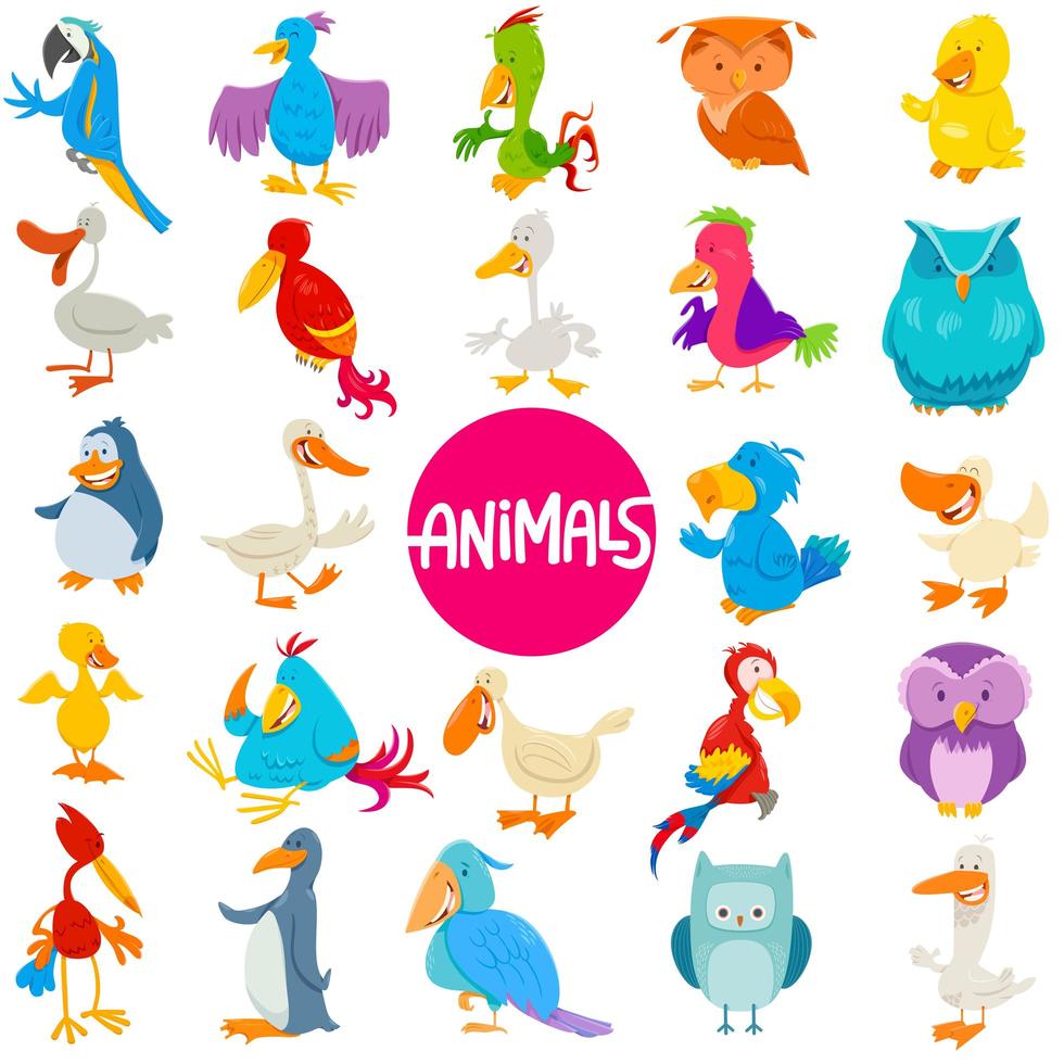 Cartoon birds animal characters large set vector