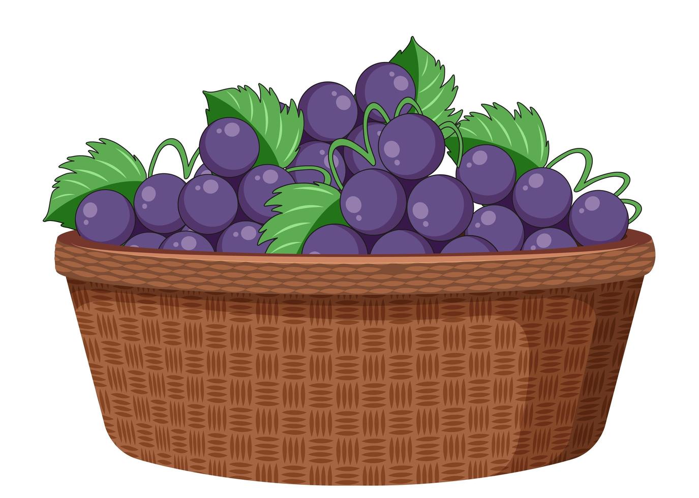 Uvas en la canasta aislado sobre fondo blanco. vector