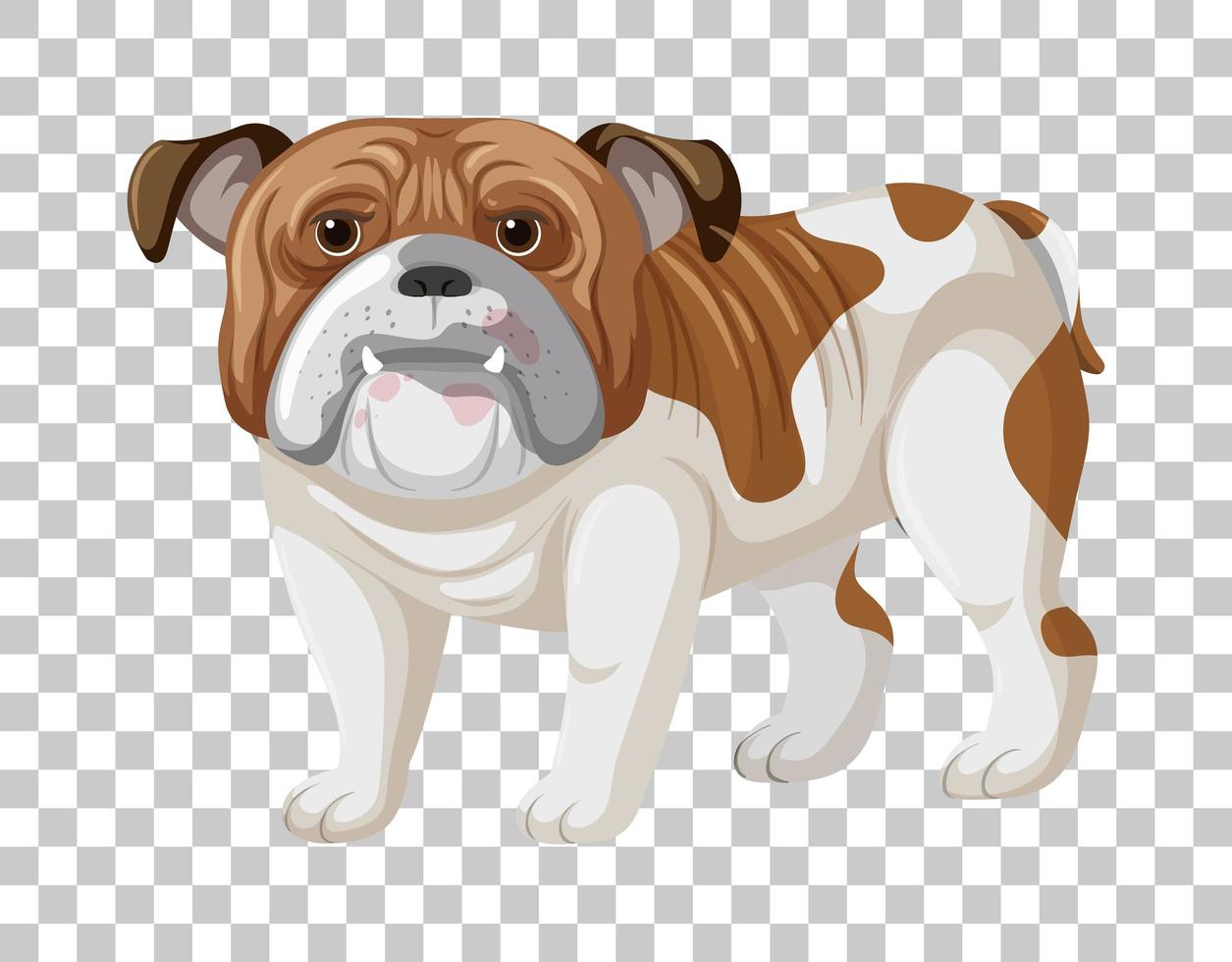 Bulldog blanco marrón en posición de pie personaje de dibujos animados aislado sobre fondo transparente vector