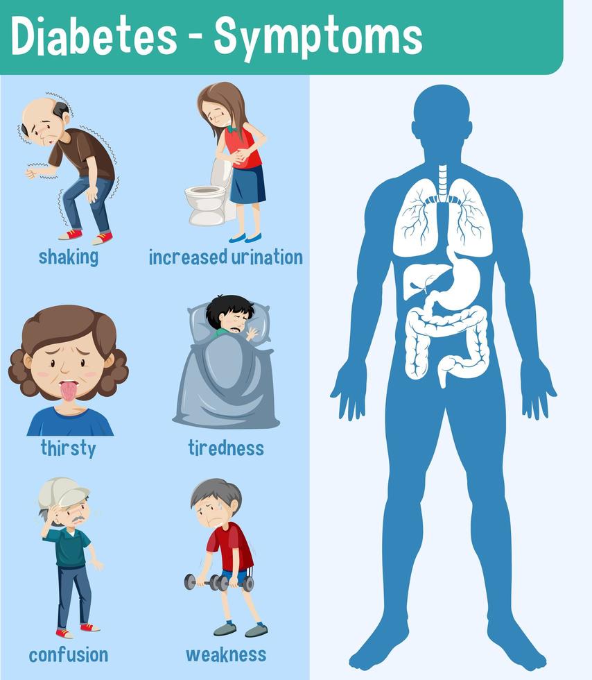 Diabetes Symptoms Information Infographic 1541488 Vector Art at Vecteezy
