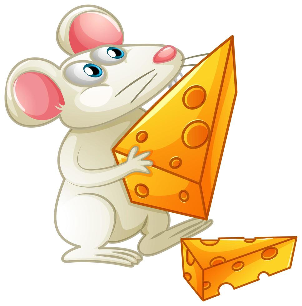 Un ratón blanco comiendo queso sobre fondo blanco. vector