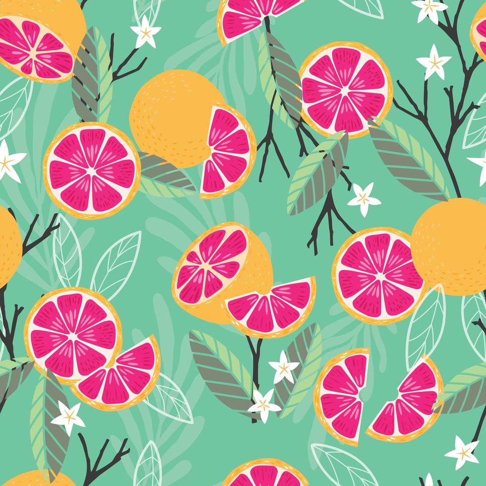 Fruit seamless pattern, grapefruit with branches vector