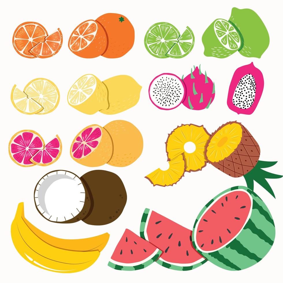 Collection of exotic tropical fruit on white background. vector