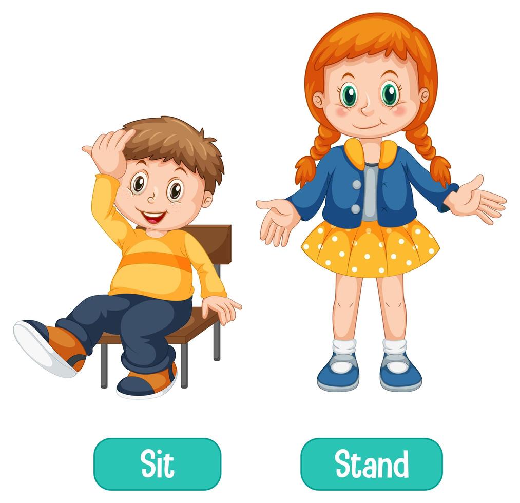 palabras opuestas con sit and stand vector