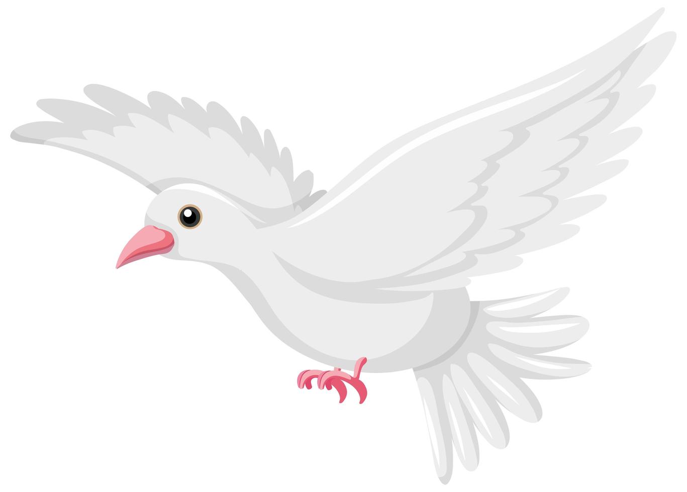 White baird flyting on white background vector