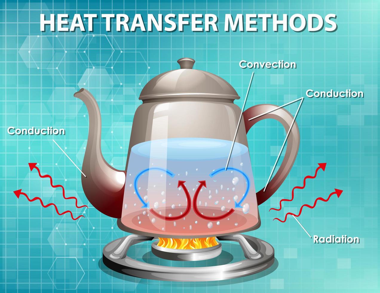 métodos de transferencia de calor vector